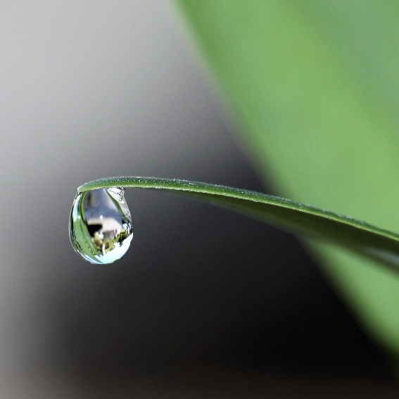 Controlled Slow-Release Delivery When Plants Need It.